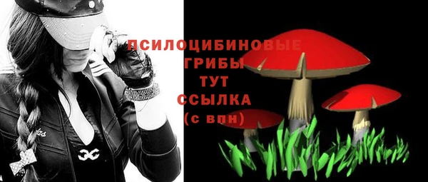 первитин Богданович