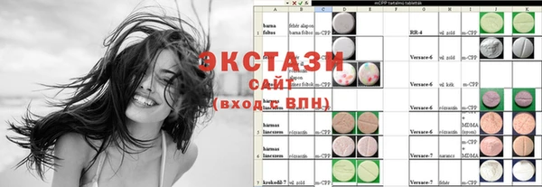 СК Богородицк