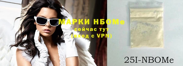 индика Новозыбков
