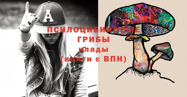 СК Богородицк